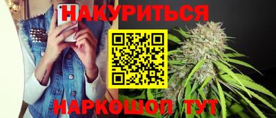 шишки Нарткала