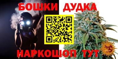 шишки Нарткала