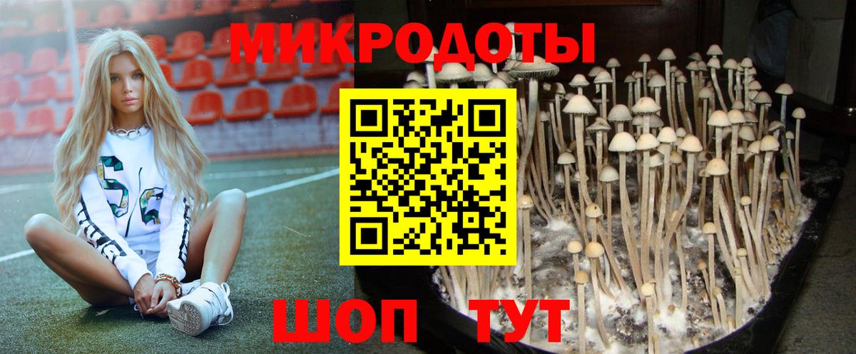 Галлюциногенные грибы Cubensis  Вход с VPN  Трёхгорный 